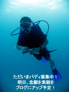 ナイスダイブでナイスバディ募集中!_f0144385_18324791.jpg