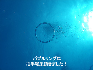 ナイスダイブでナイスバディ募集中!_f0144385_18441086.jpg