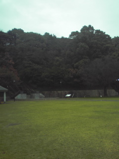 c0154786_20355345.jpg