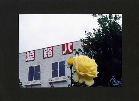 c0046587_17481569.jpg