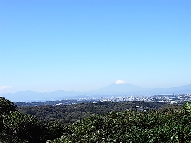 鎌倉市・大平山（159m）。_b0123988_18304449.jpg