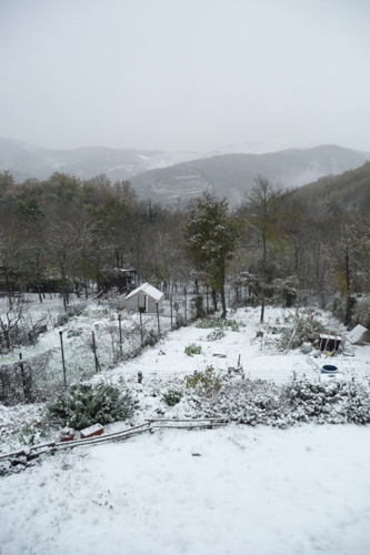 初雪が降りました_f0106597_163841.jpg