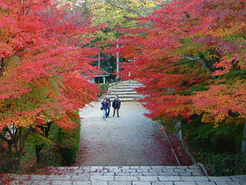 明治村の紅葉　2008_f0110699_04724.jpg