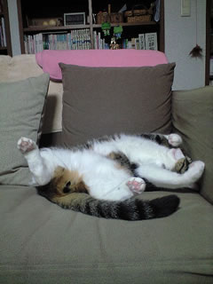 c0035001_16171034.jpg