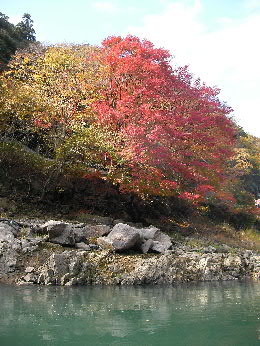 観音ウェーブ_c0121102_1593678.jpg