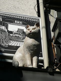 看板ねこ_b0014003_10454652.jpg