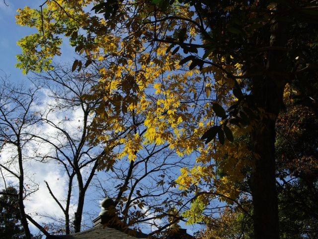 c0156908_1105093.jpg