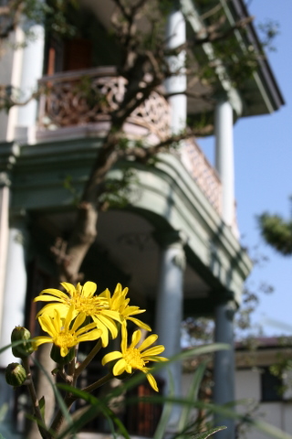 a0093509_2210244.jpg