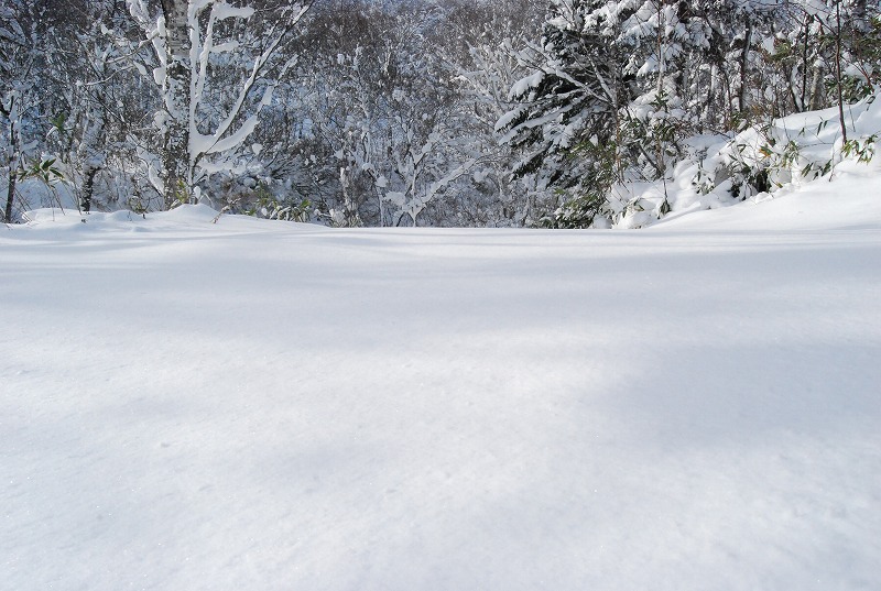 c0153411_2157718.jpg