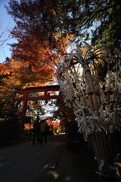 2008・京都の紅葉 大原野神社編_f0032011_19481714.jpg