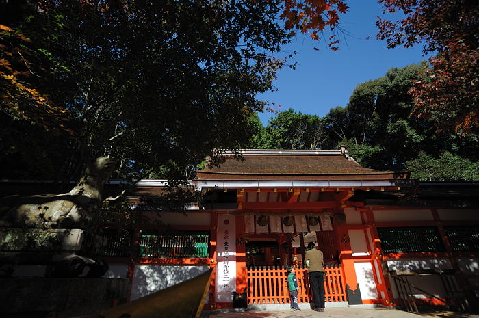 2008・京都の紅葉 大原野神社編_f0032011_19483427.jpg