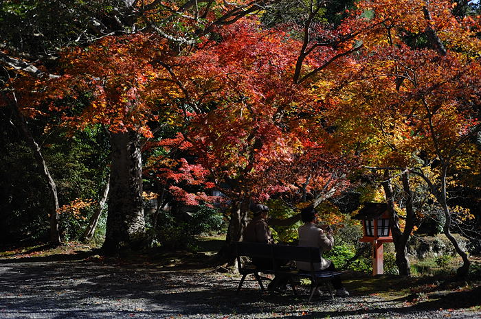 2008・京都の紅葉 大原野神社編_f0032011_19492865.jpg