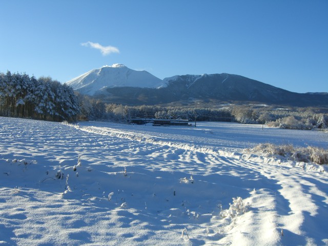 e0136214_23594820.jpg