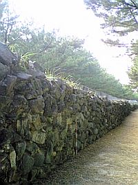 e0114015_15532557.jpg