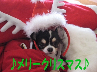 f0149420_1920480.jpg