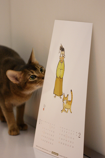 猫的 くるねこ 猫の病院オリジナルカレンダー ヒトは猫のペットである