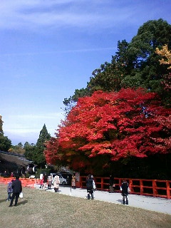 e0128024_12354980.jpg