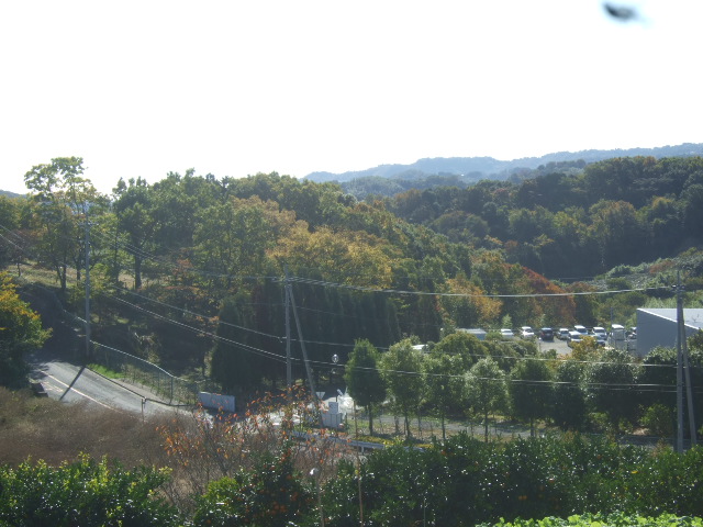b0137932_1924926.jpg