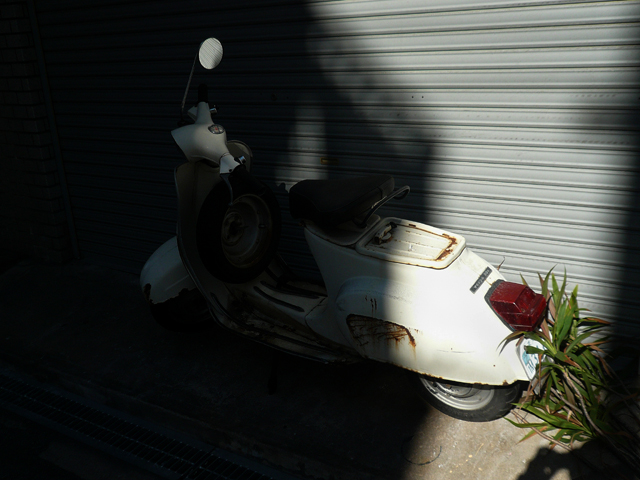 e0037235_131340.jpg