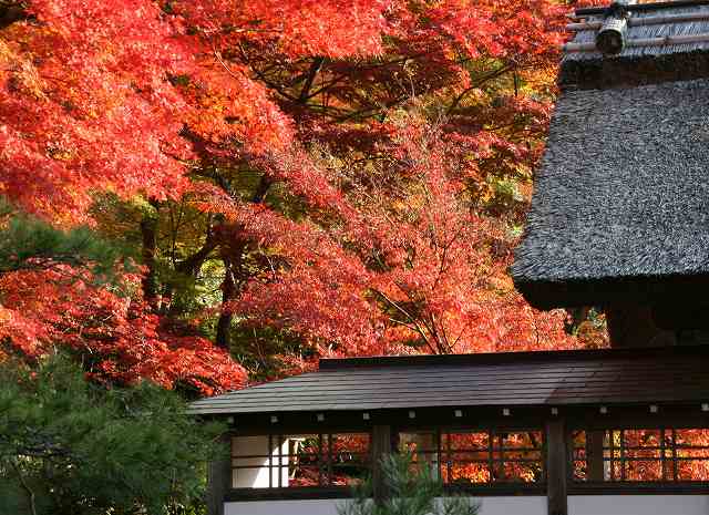 永源寺_d0052340_1845812.jpg