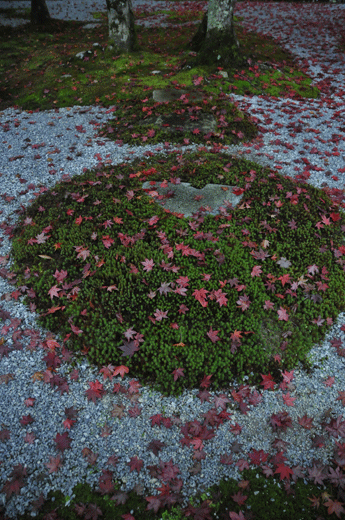 c0093046_7561363.gif