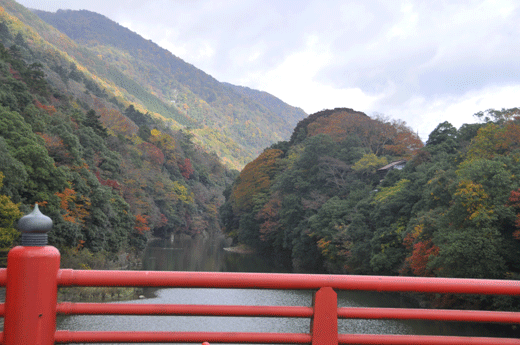 c0093046_756314.gif