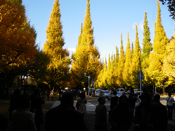 f0161647_16105994.jpg