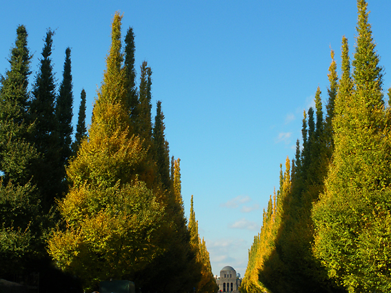 f0161647_16241937.jpg