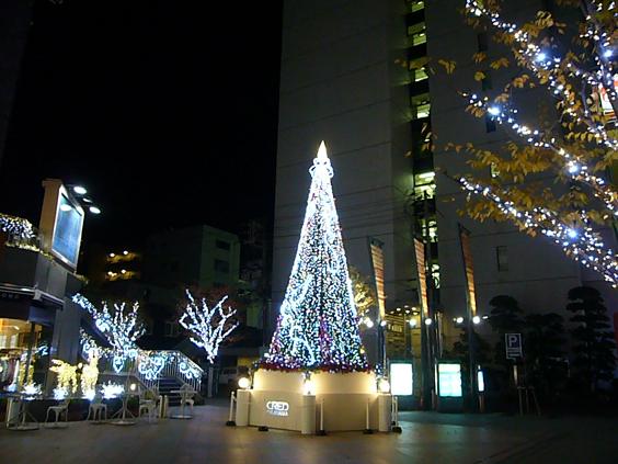 「クレド岡山」クリスマスツリー_f0108049_22414791.jpg