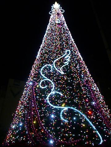 「クレド岡山」クリスマスツリー_f0108049_22425599.jpg