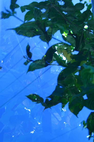 e0126350_23224591.jpg