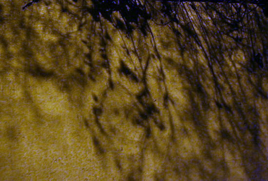 e0126350_23234620.jpg