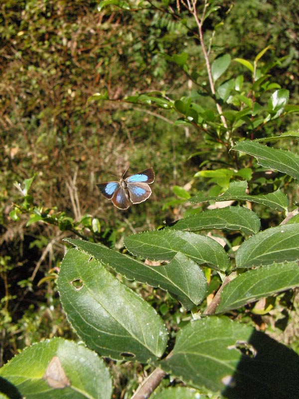 c0045352_171569.jpg