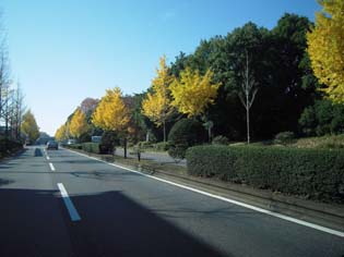 骨董市_e0109554_17414051.jpg