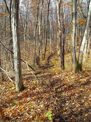 a0044456_07270.jpg