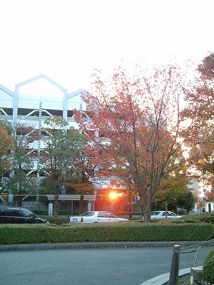 b0096463_8311613.jpg