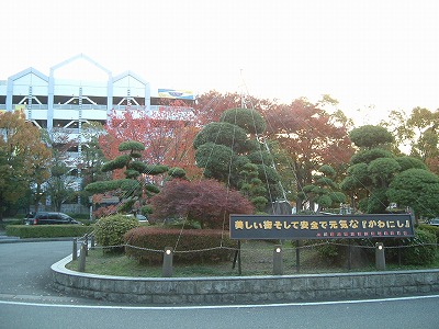 b0096463_8313757.jpg