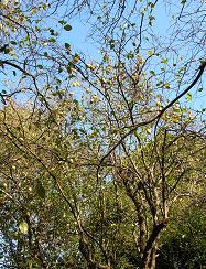 f0139963_02790.jpg