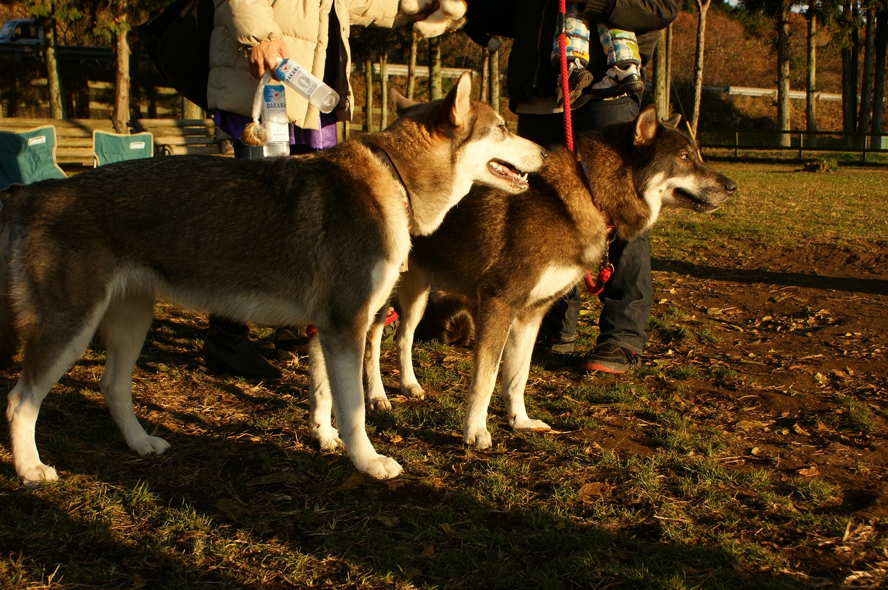 f0161964_1255376.jpg