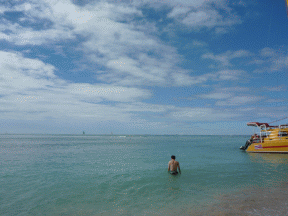 f0186671_13545466.gif