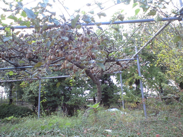 a0093677_21224370.jpg
