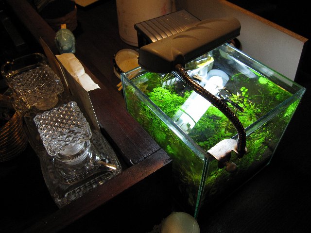 f0087479_221767.jpg