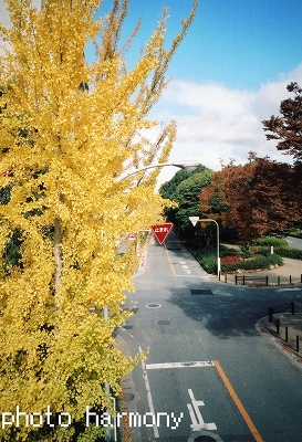 e0143793_16384969.jpg