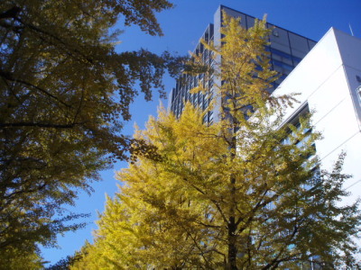 c0086895_8563731.jpg