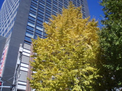 c0086895_8582676.jpg