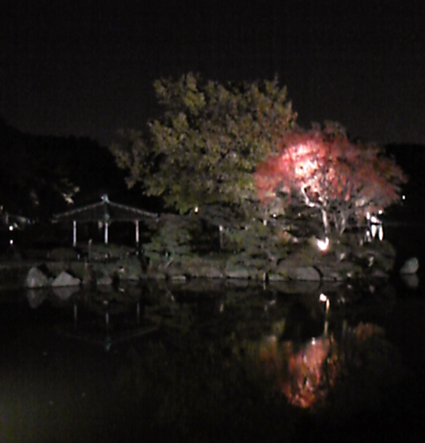 e0003097_10224566.jpg