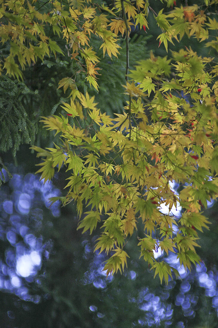 b0137402_17435377.jpg