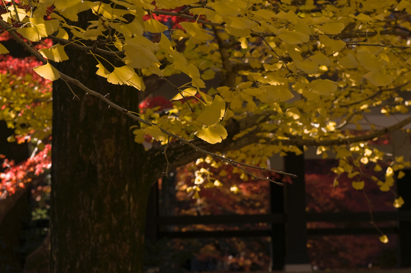 2日目その1～南禅寺～ _c0169106_23521473.jpg