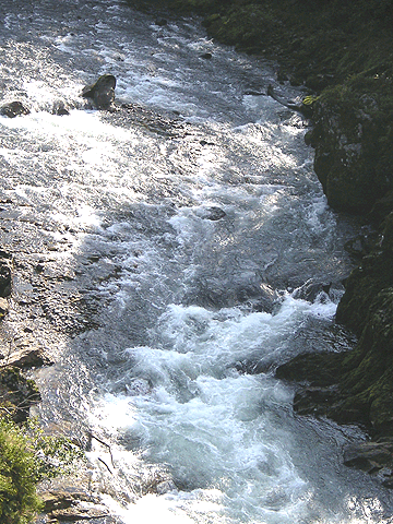 a0103615_20324269.gif