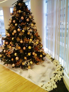 雪・・・?_d0049817_2116967.jpg